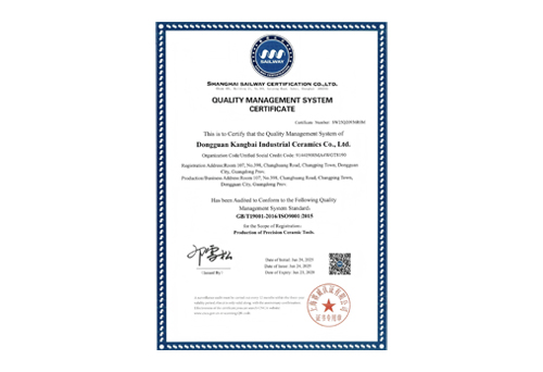 ISO9001-质量管理体系认证（英文）